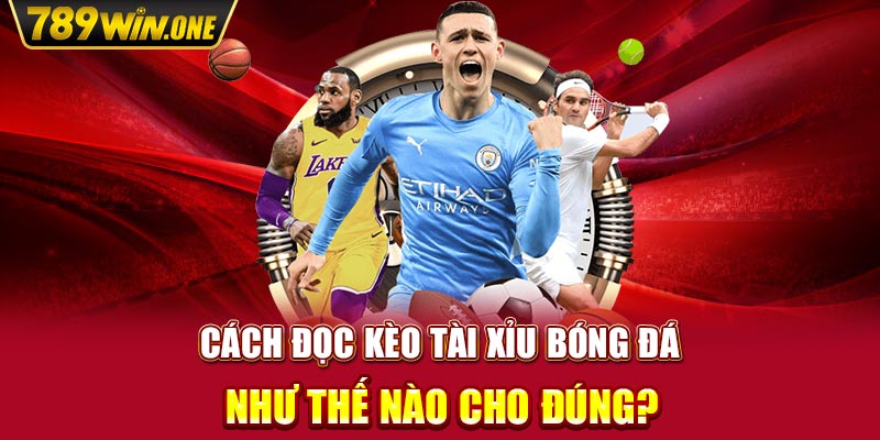 Cách Đọc Kèo Tài Xỉu Bóng Đá Như Thế Nào Cho Đúng?